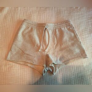 Aritzia Tna Boyfriend Sweatshorts